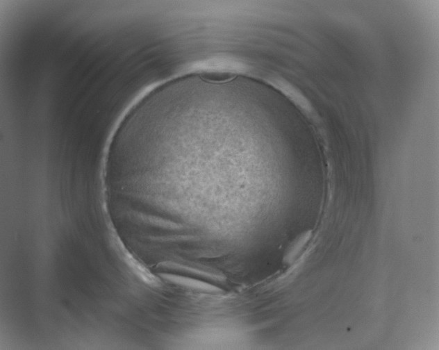 X0000068741248200605121536