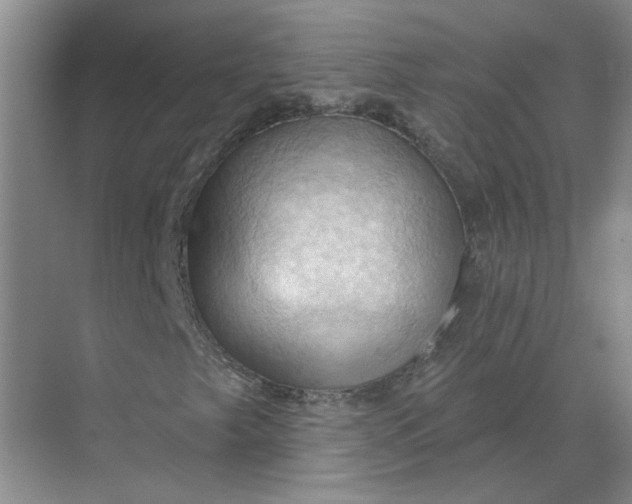 X0000068741249200605121535