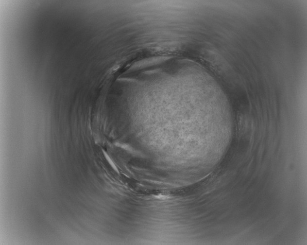 X0000068741250200605121535