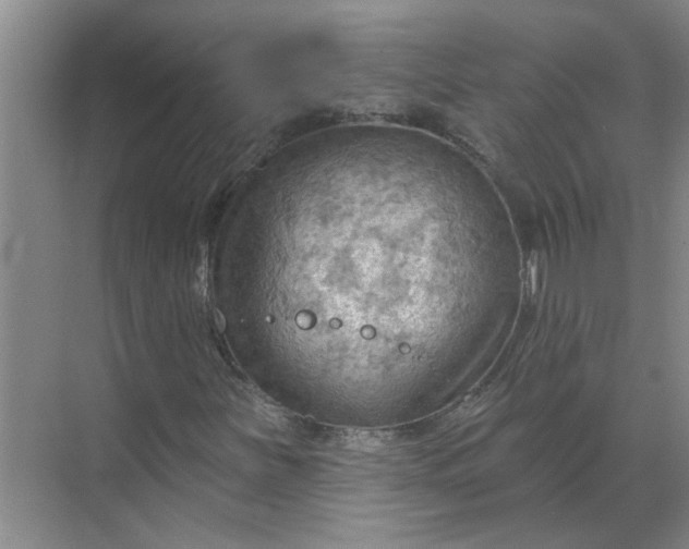 X0000068741251200605121535