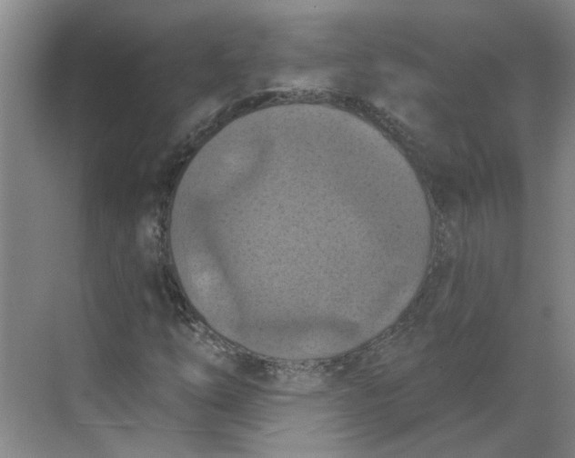 X0000068741254200605121535