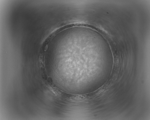 X0000068741255200605121535