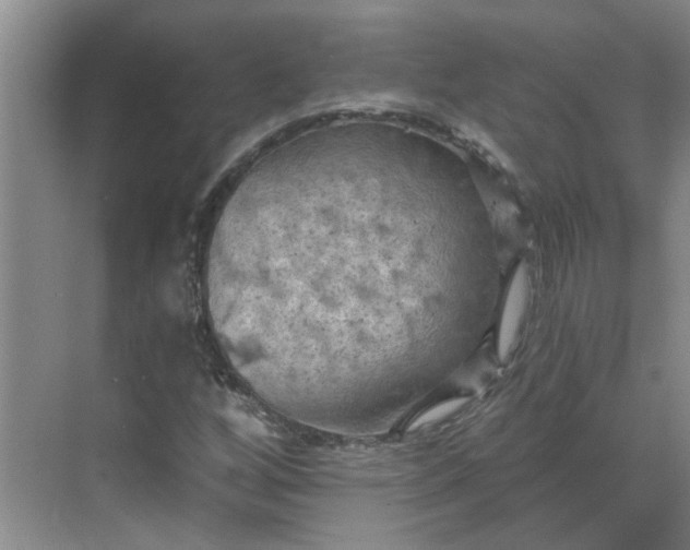 X0000068741256200605121535