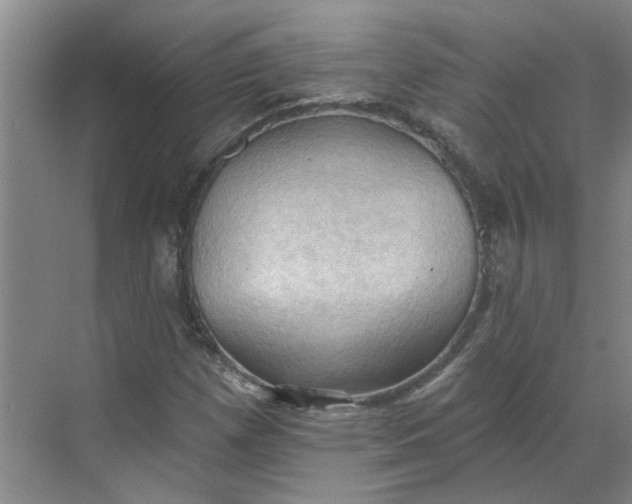 X0000068741257200605121535