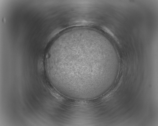 X0000068741259200605121535