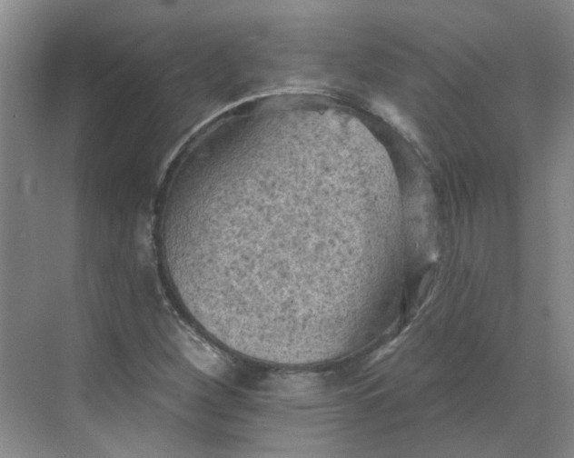 X0000068741260200605121535