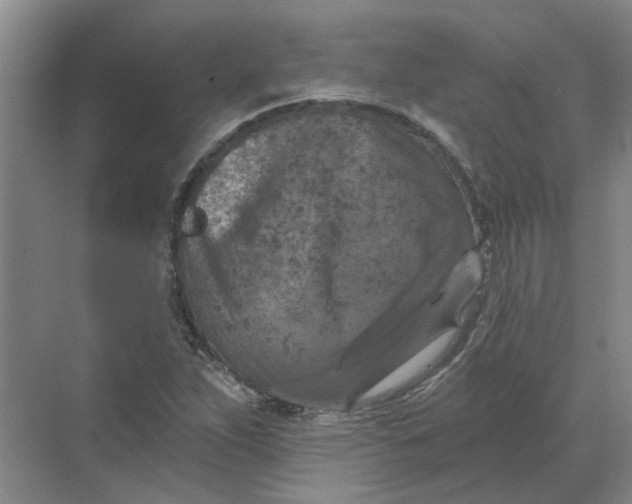 X0000068741263200605121535