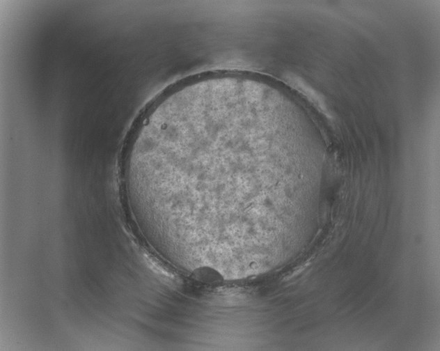 X0000068741264200605121535