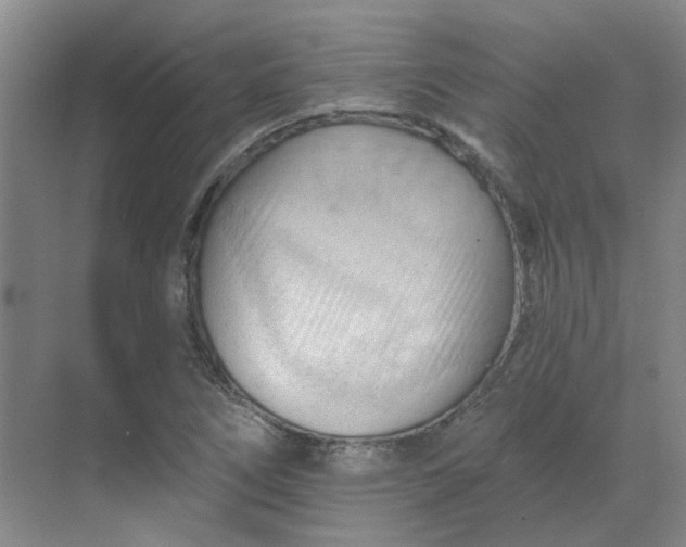 X0000068741266200605121535