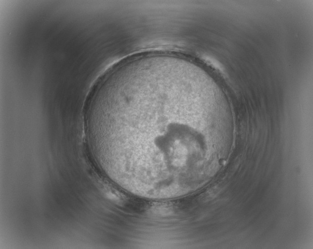 X0000068741267200605121535