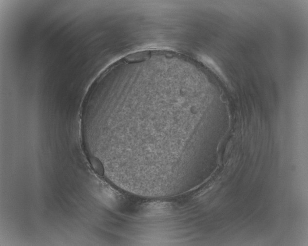 X0000068741268200605121534