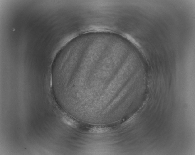 X0000068741269200605121534