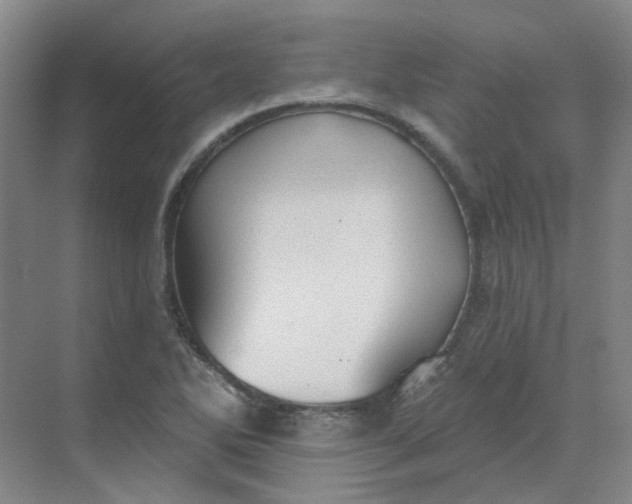 X0000068741270200605121534