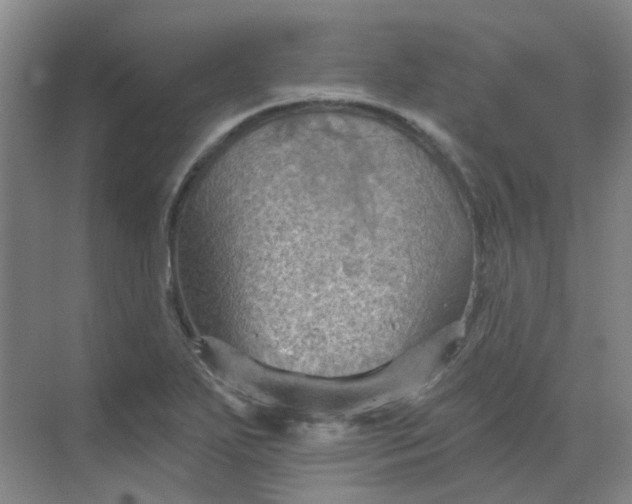 X0000068741271200605121534