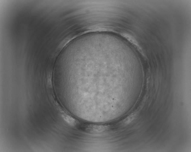 X0000068741273200605121534