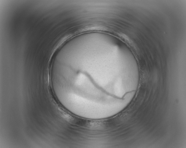 X0000068741274200605121534