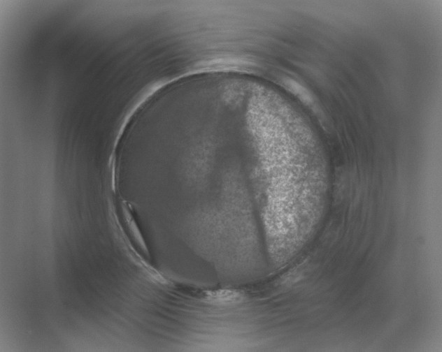 X0000068741275200605121534