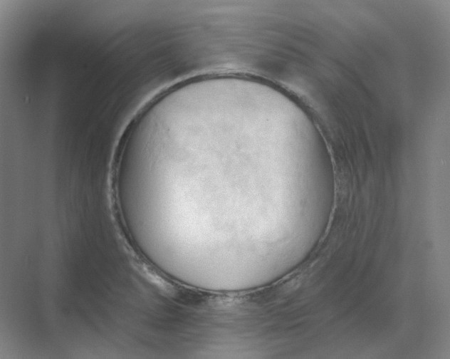 X0000068741278200605121534