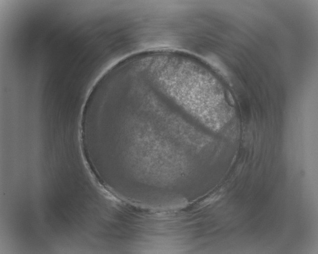 X0000068741279200605121534