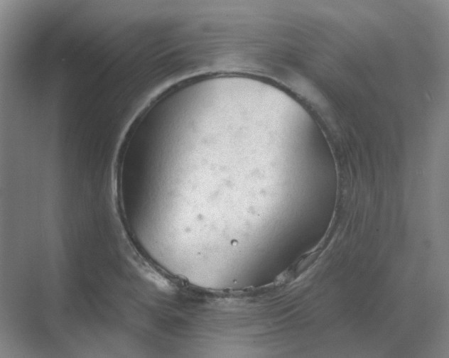 X0000068741280200605121534