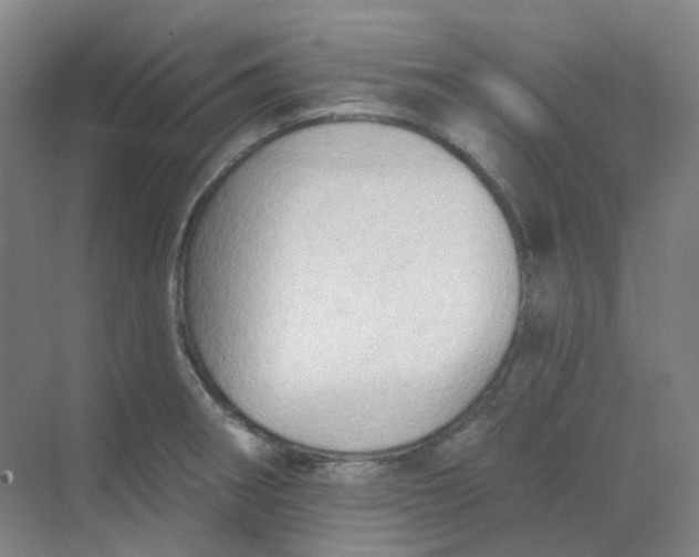 X0000068741282200605121534