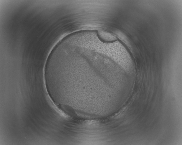 X0000068741283200605121534