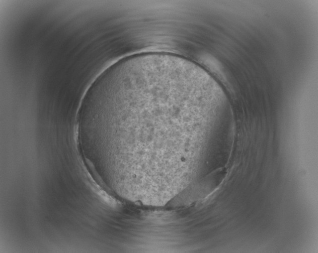 X0000068741284200605121534