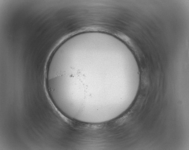 X0000068741286200605121534