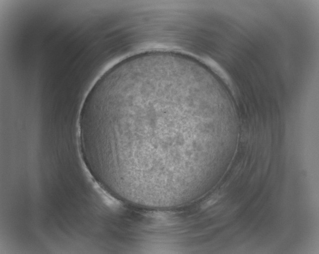 X0000068741287200605121534