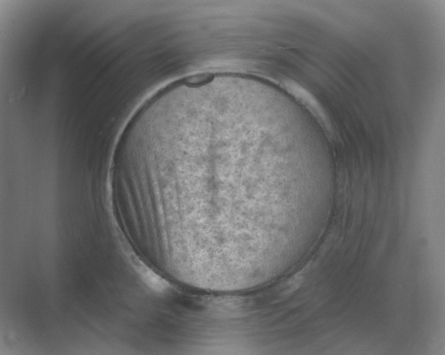 X0000068741288200605121534