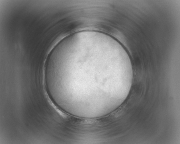 X0000068741290200605121534