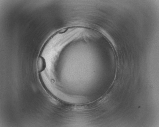 X0000068741291200605121534