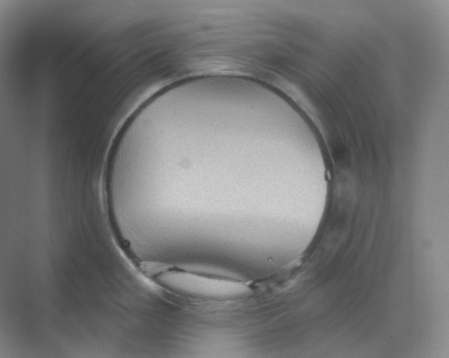 X0000068741293200605121534