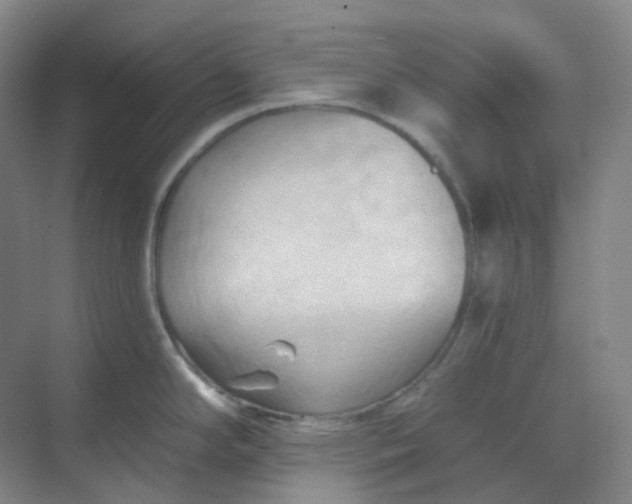 X0000068741294200605121534