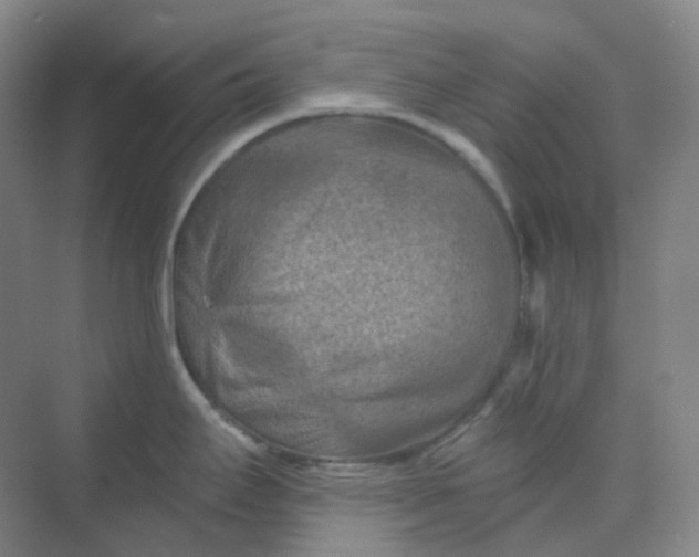 X0000068741295200605121534