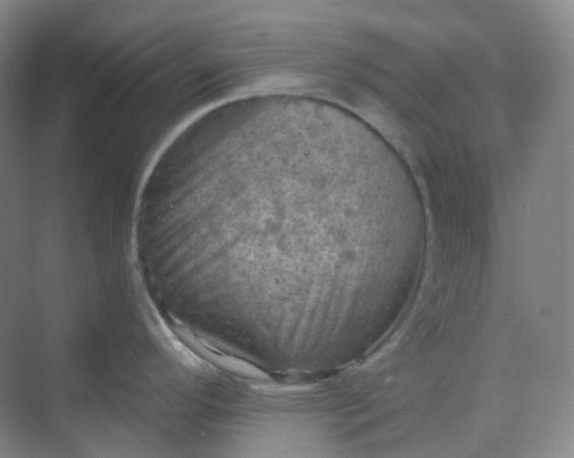 X0000068741296200605121534