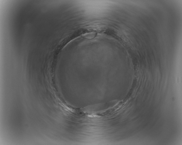 X0000068741297200605121533