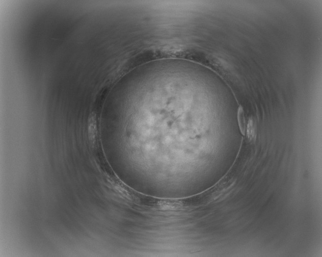 X0000068741299200605121533