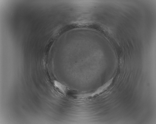 X0000068741300200605121533