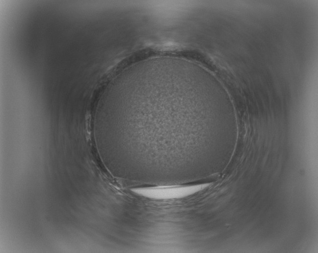 X0000068741301200605121533