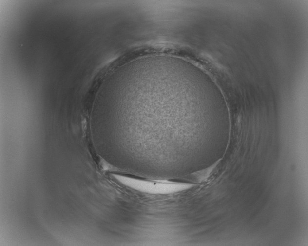 X0000068741302200605121533