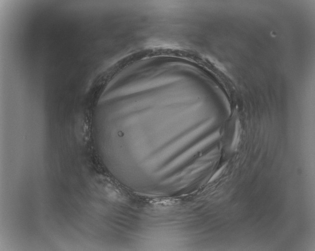 X0000068741303200605121533