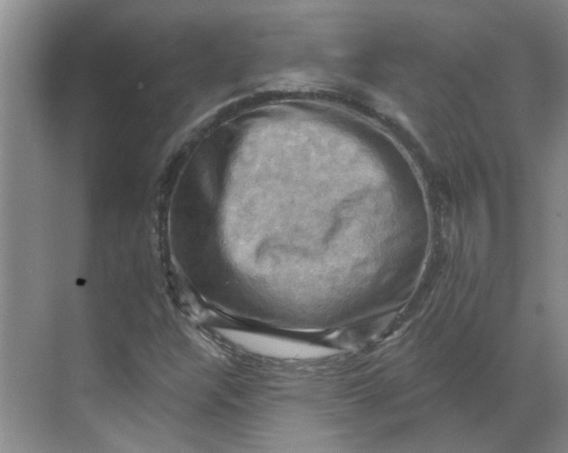 X0000068741304200605121533