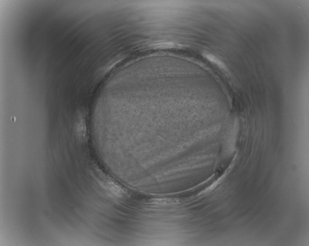 X0000068741305200605121533