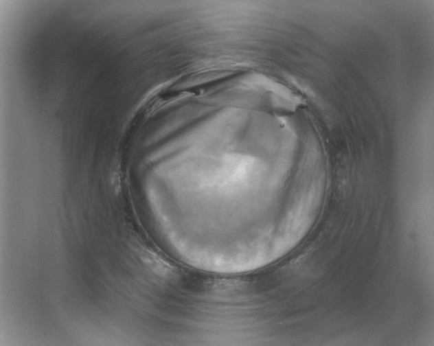 X0000068741306200605121533