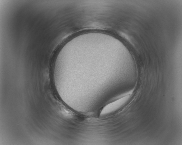 X0000068741307200605121533