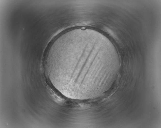 X0000068741308200605121533