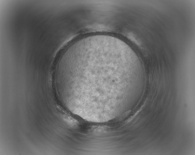 X0000068741309200605121533