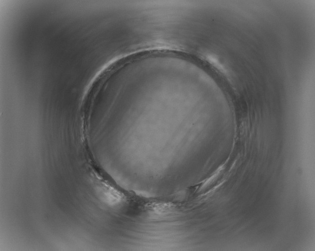 X0000068741310200605121533