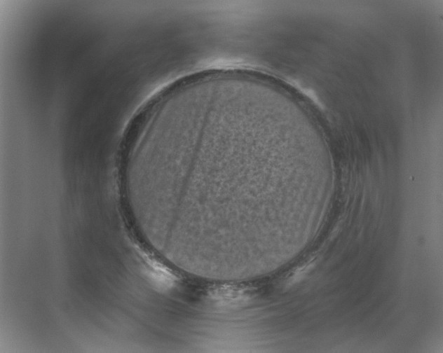 X0000068741311200605121533